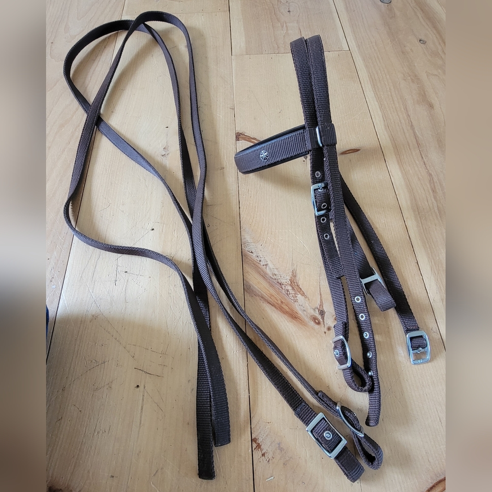 New! Western Bridle Set With Breast Collar
